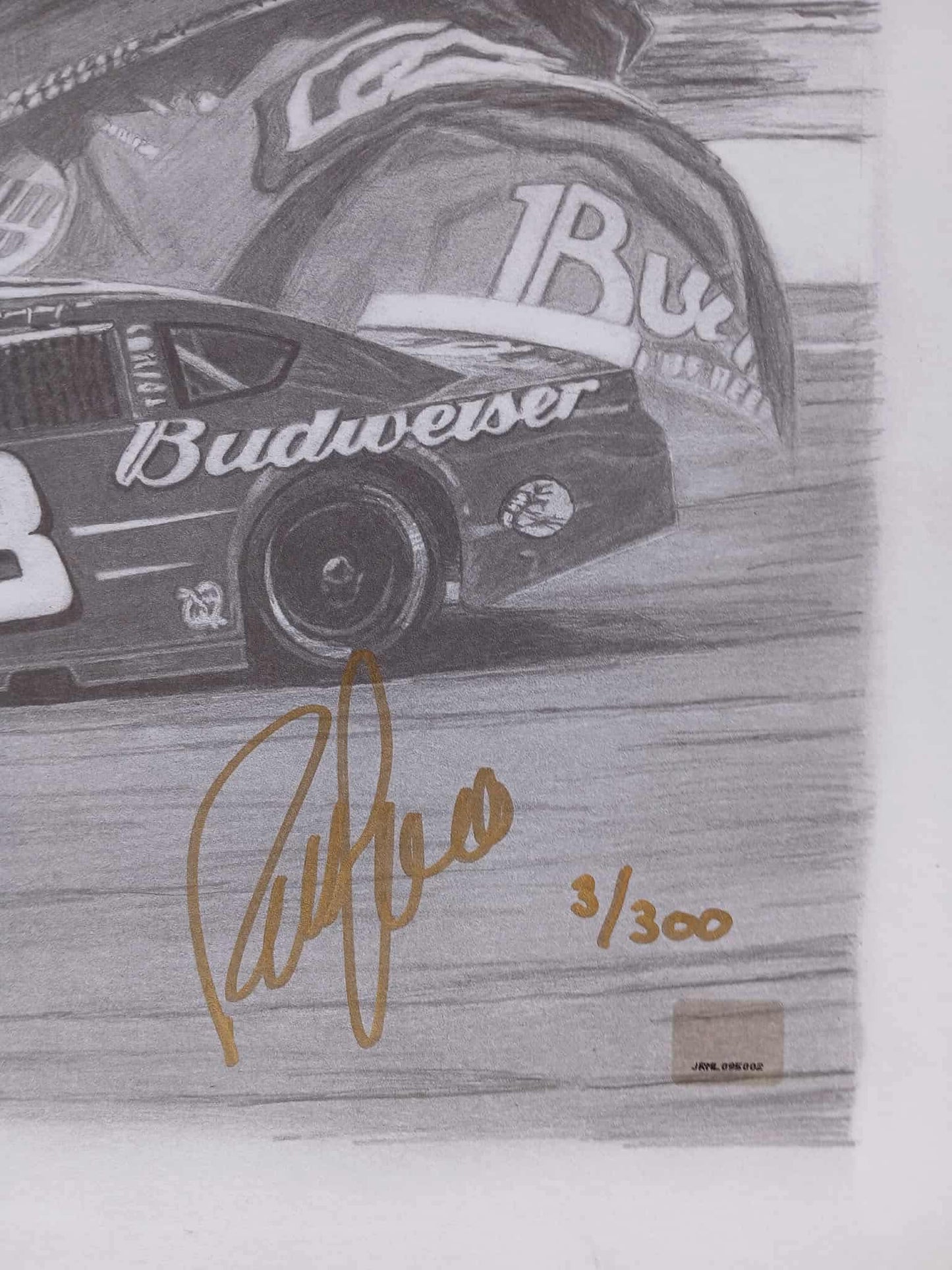 DALE EARNHARDT JR. PREMIUM GOLD AUTOGRAPHED LARGE ART PRINT (3/300)