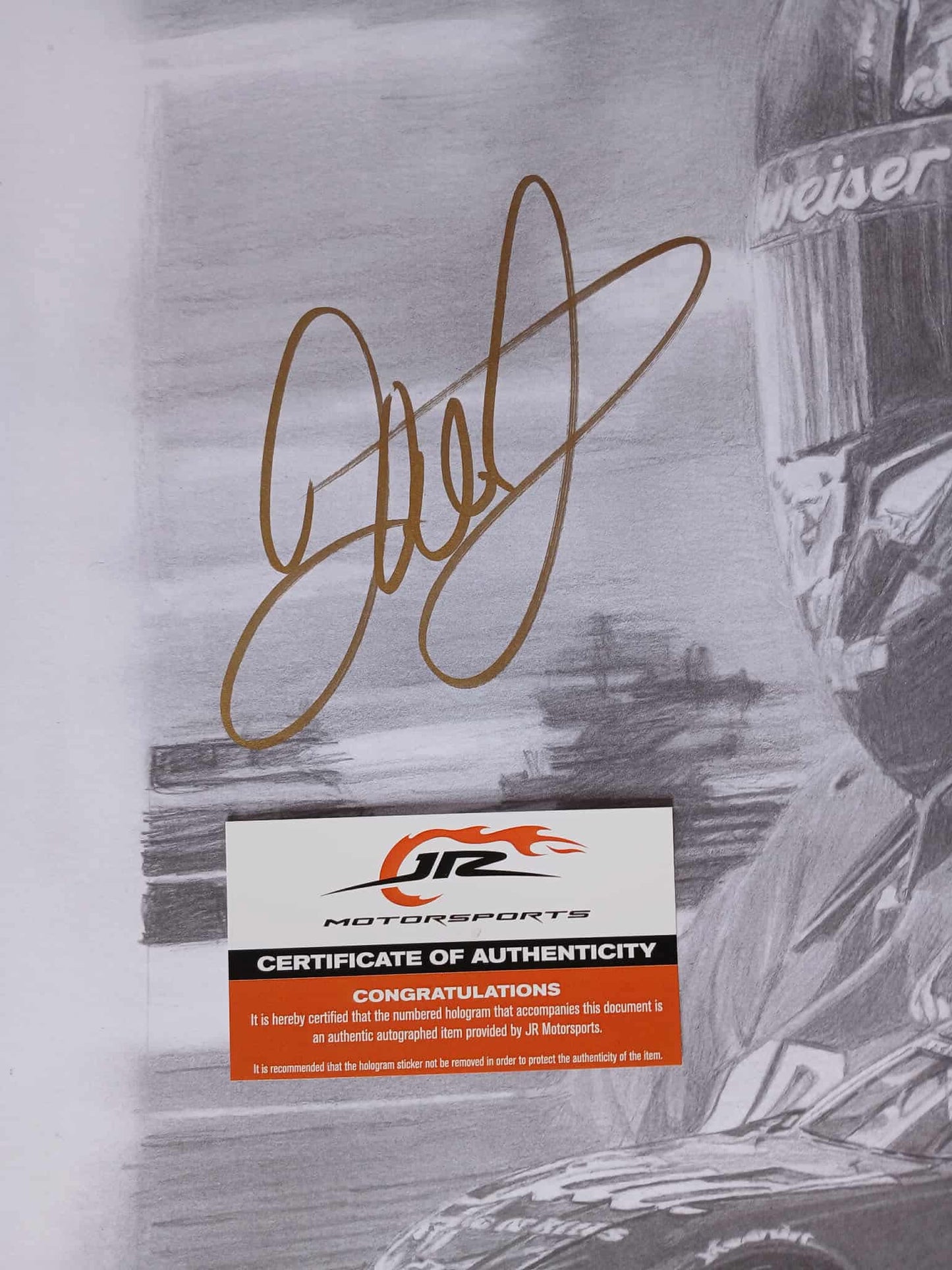 DALE EARNHARDT JR. PREMIUM GOLD AUTOGRAPHED LARGE ART PRINT (3/300)